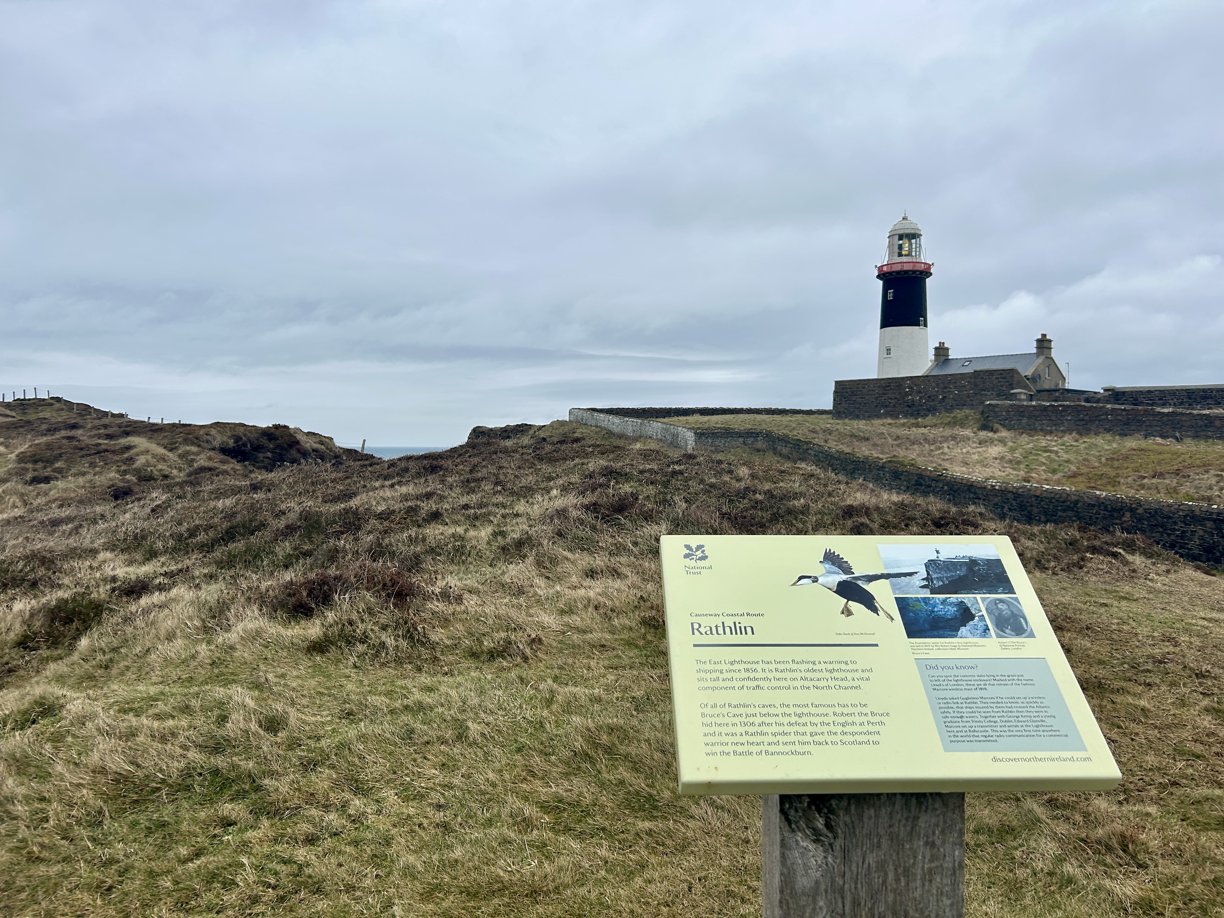 NAARCA presents at Northern Ireland Science Festival